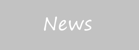 Photo of emergency fencing